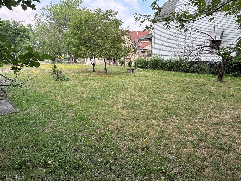 Picture 7