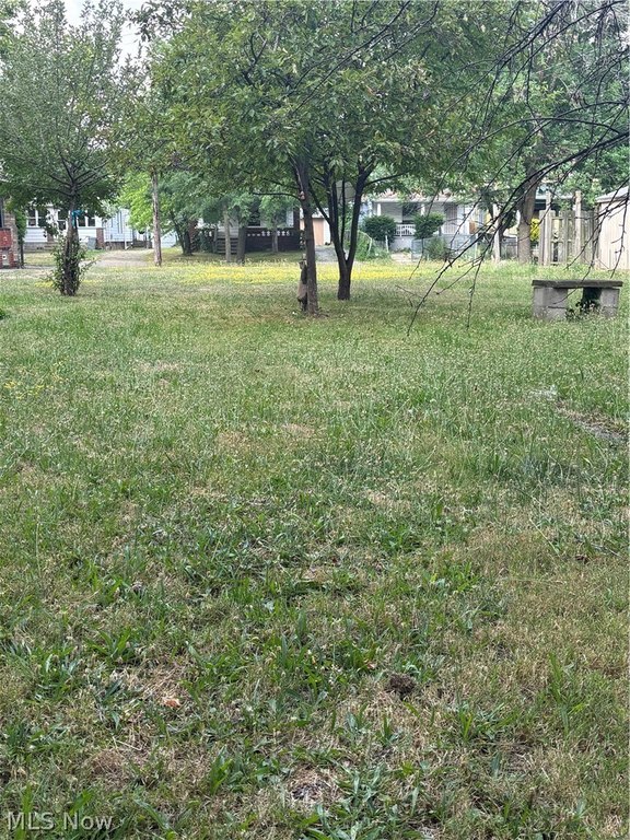 Picture 9