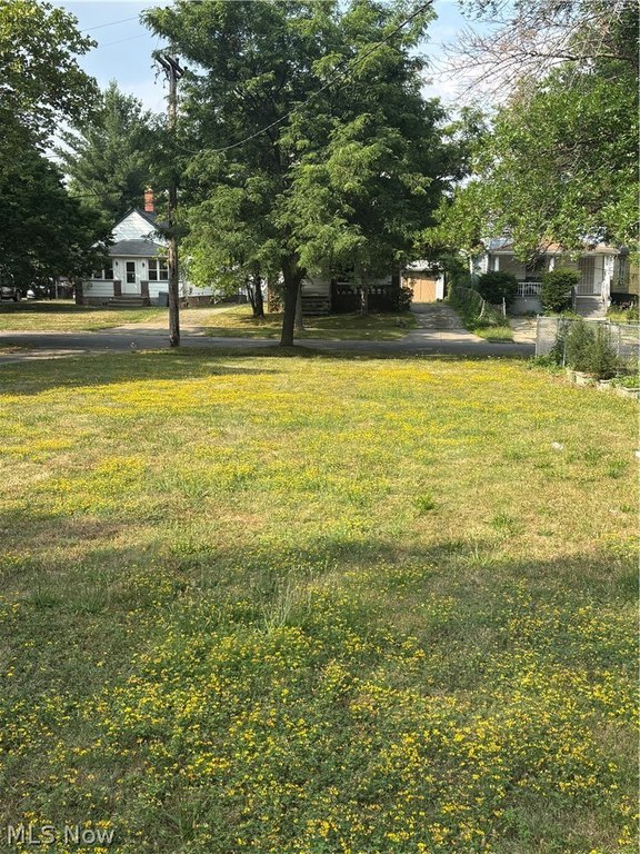 Picture 12