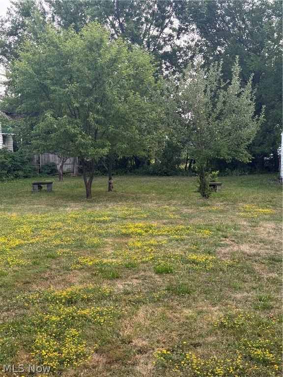 Picture 4