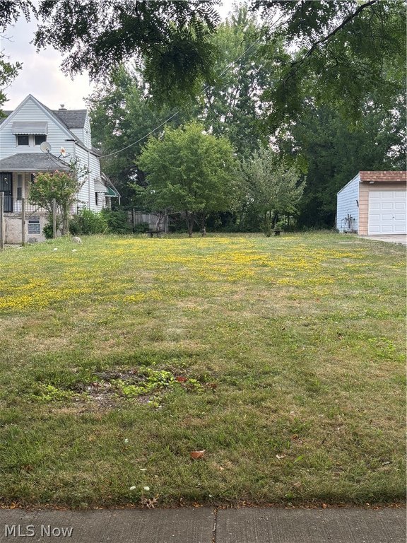 Picture 3