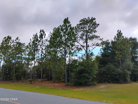 LAND - Chipley, FL