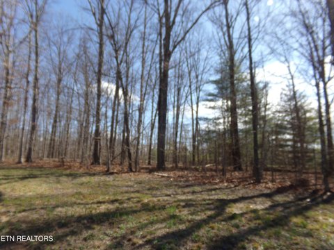 Crossville, TN Building Lot