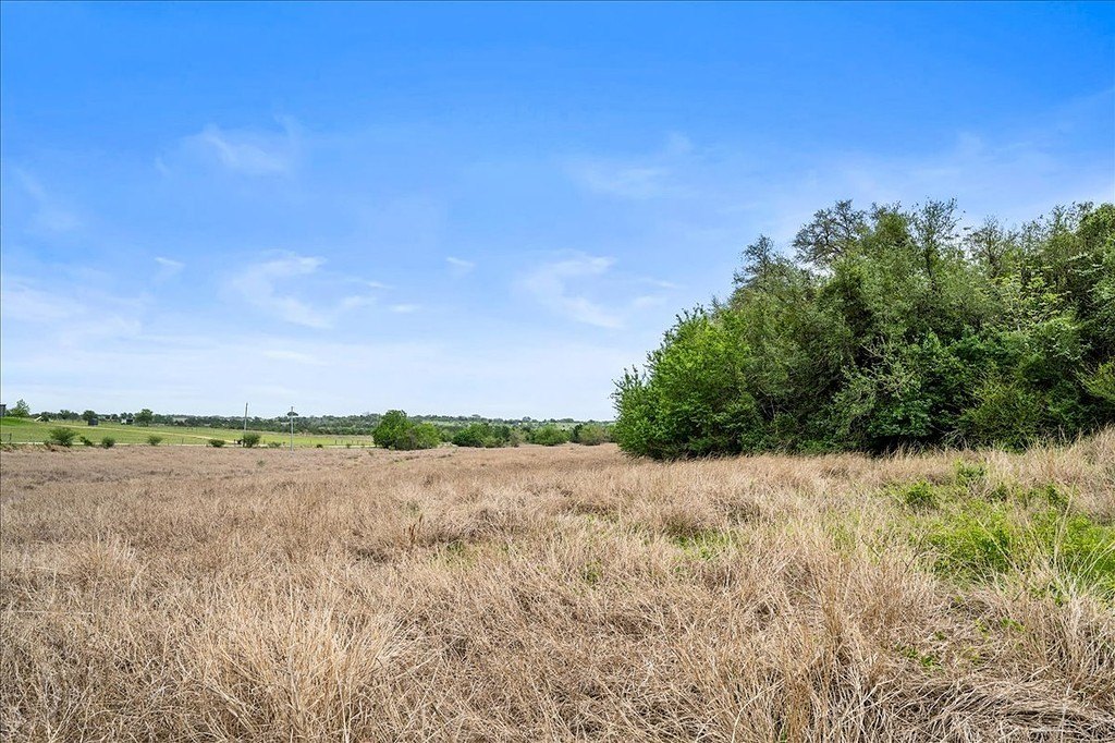 Picture 29