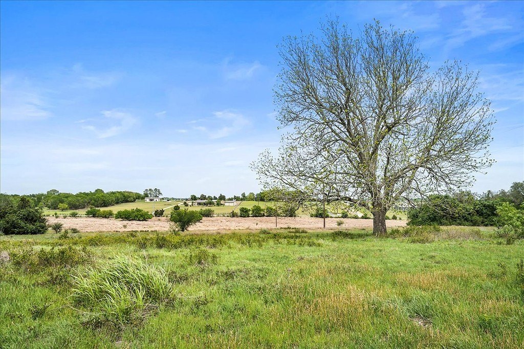 Picture 25