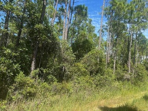 Land Near Santa Rosa Beach