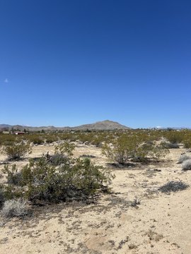 Joshua Tree Land Opportunity