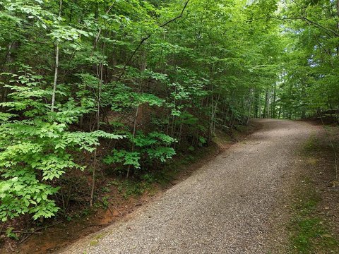Blairsville Vacant Lot in Highlands