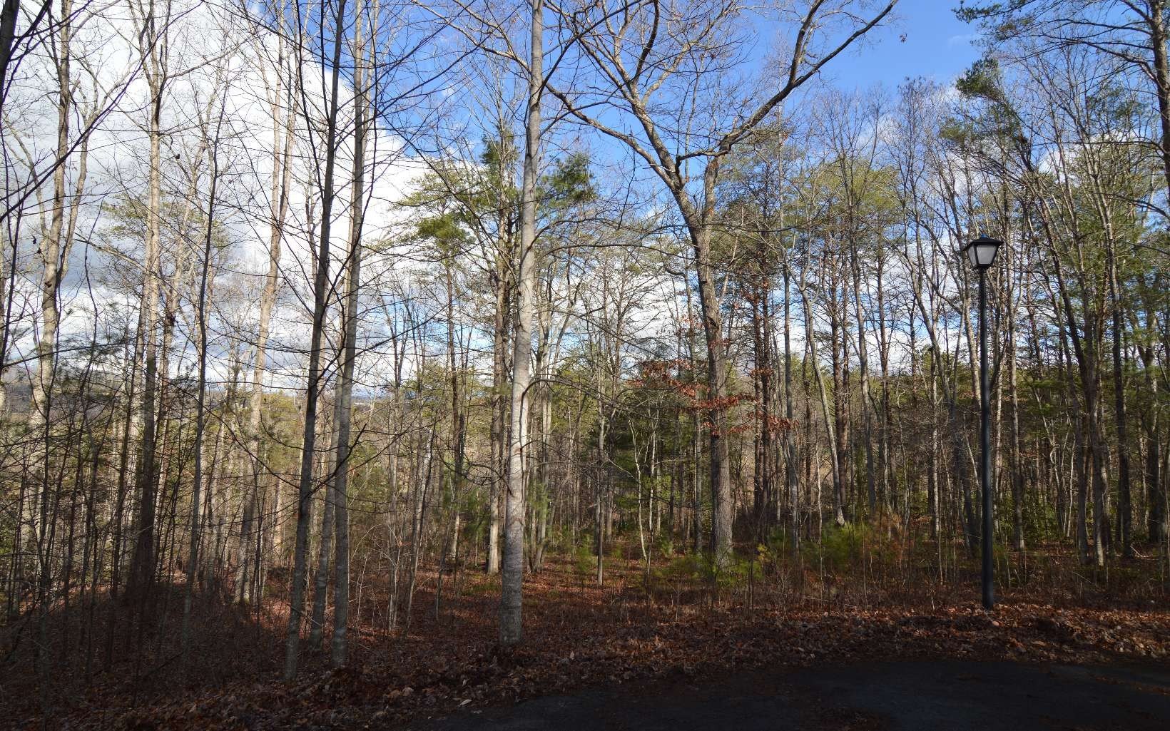 Blairsville, GA Vacant Wooded Lot