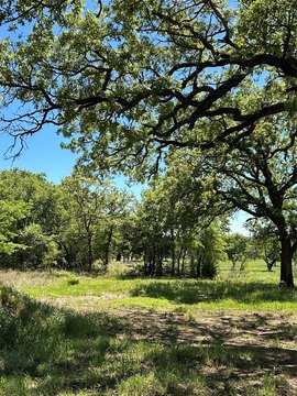 Land, Bowie, TX