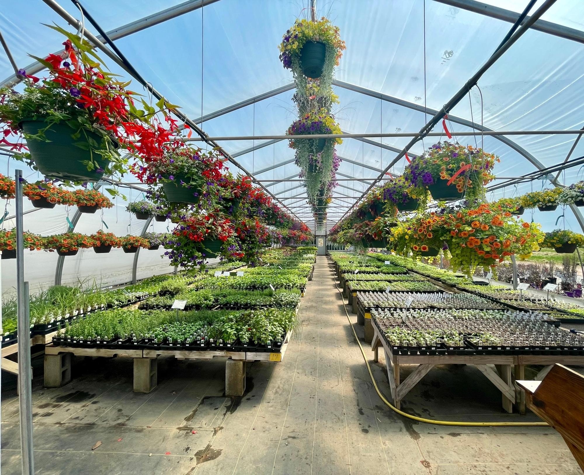 Turn-Key Greenhouse and Floral Shop