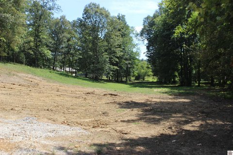 Residential Land in Woodland Hills