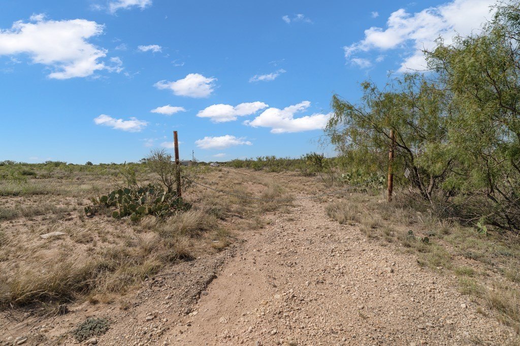 Picture 14
