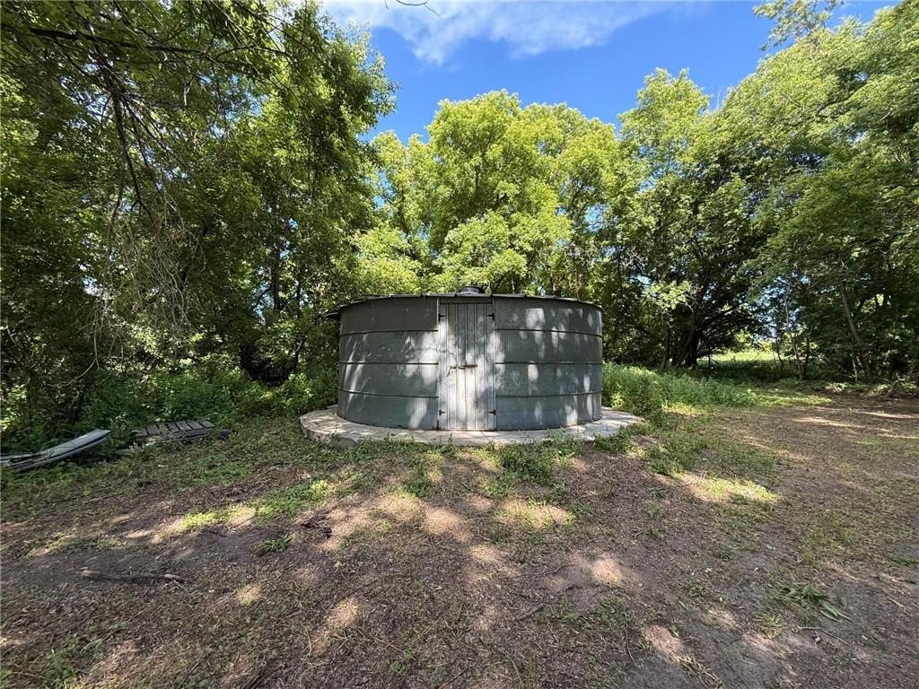 Picture 11