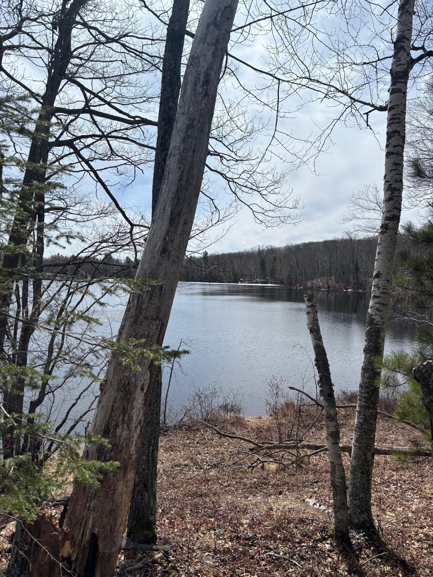 Joyce Lake Waterfront Land Parcel