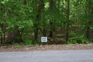 Land For Sale, Ten Mile