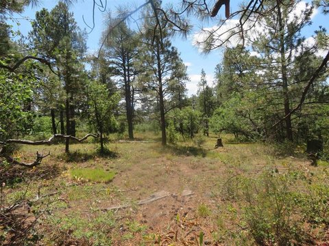 Land in Pagosa Springs, CO