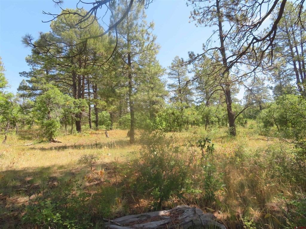 Picture 30