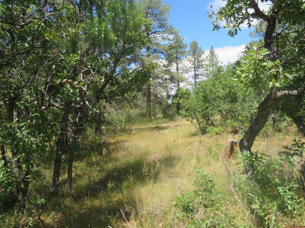 Picture 23