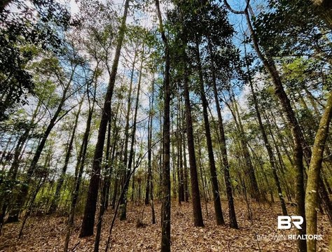 3-Acre Wooded Building Site