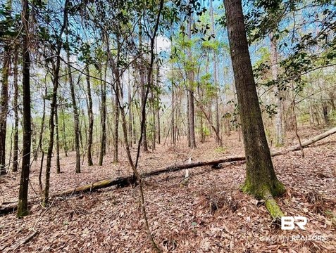 3-Acre Wooded Building Site
