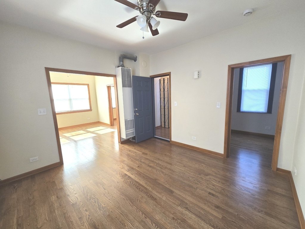 Picture 5