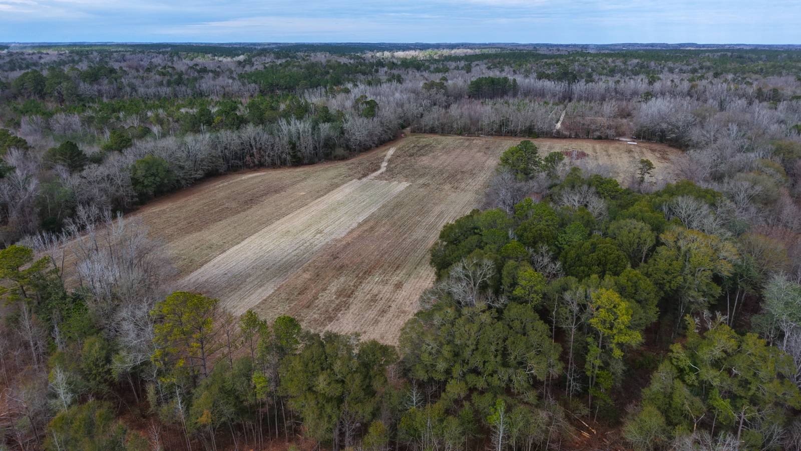 Land with Hunting and Recreational Potential