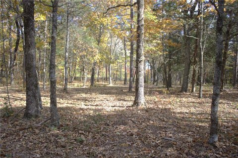Wooded Land Near National Forest