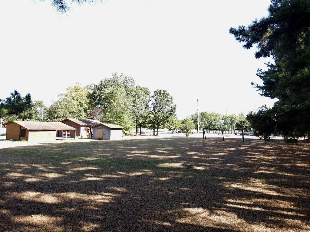 Picture 11