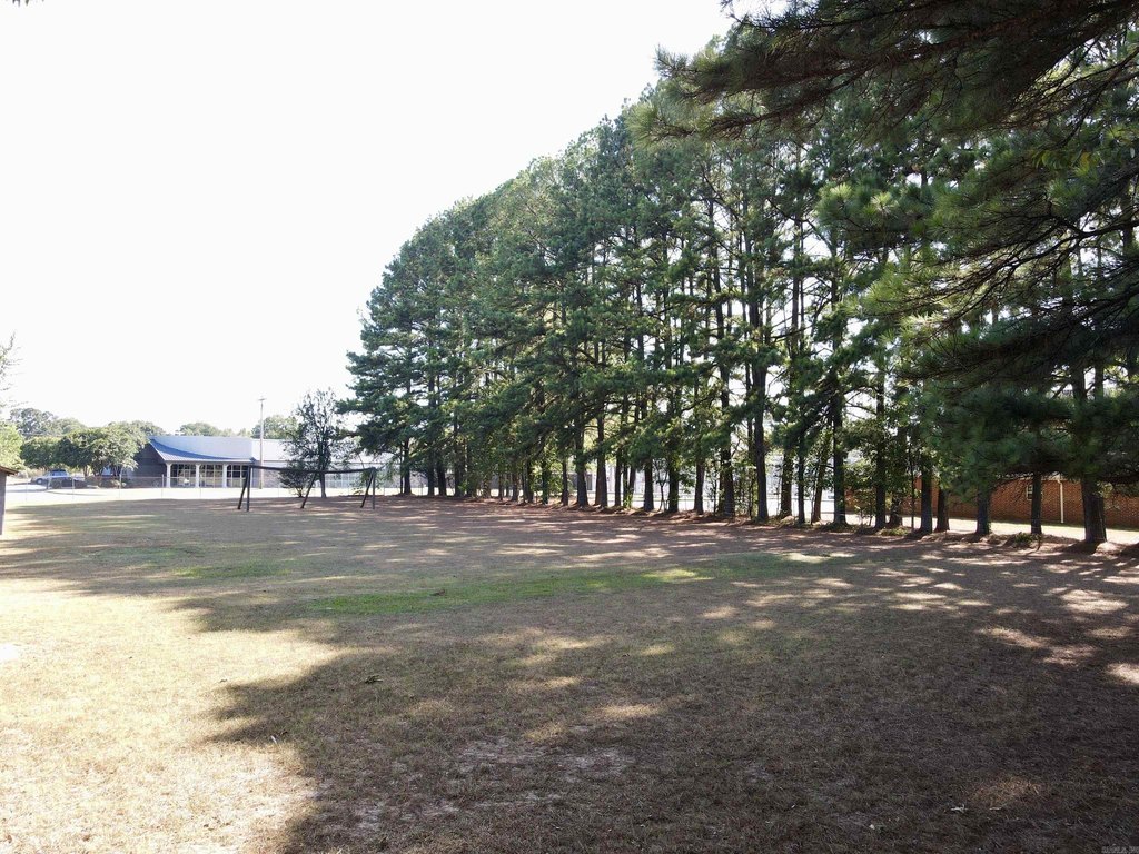 Picture 12