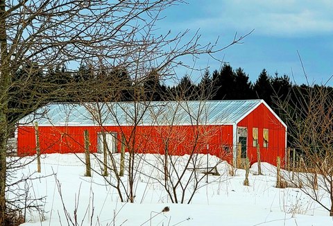 Onekama Land with Utilities