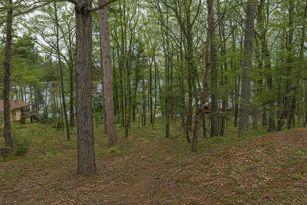 Picture 61