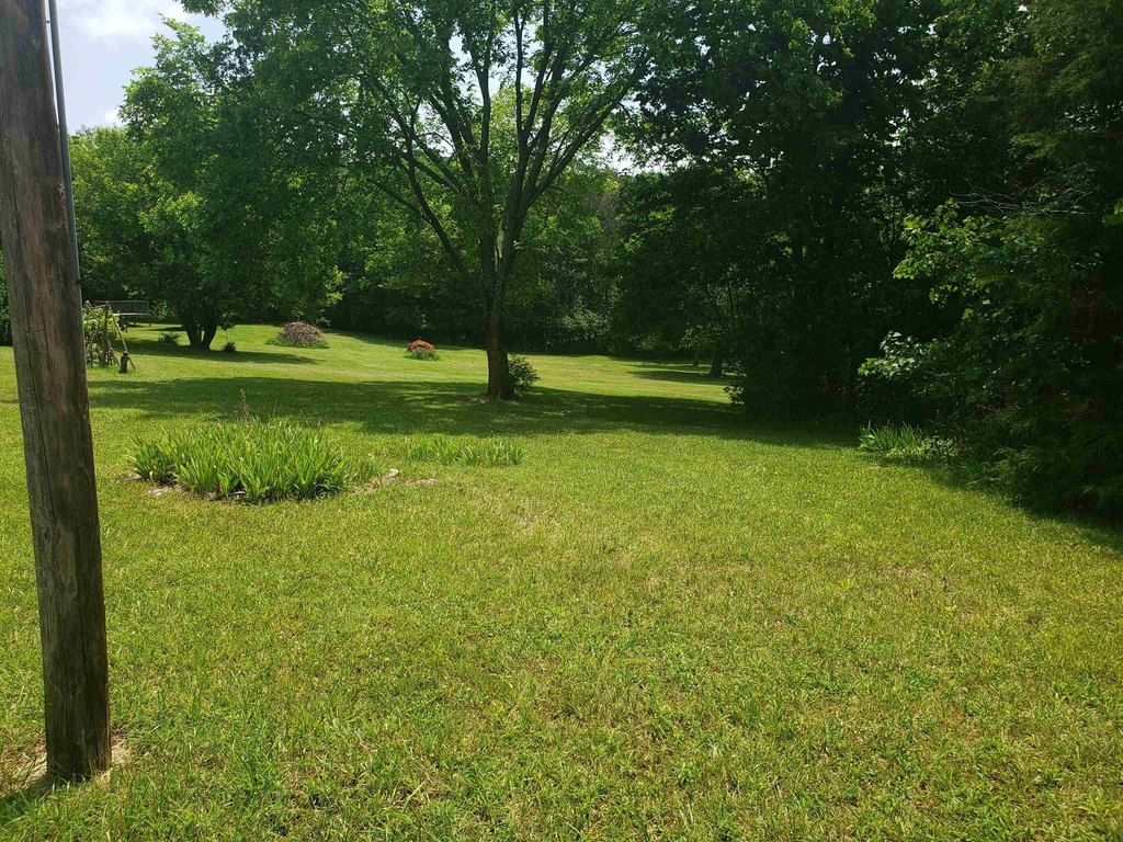 Picture 50