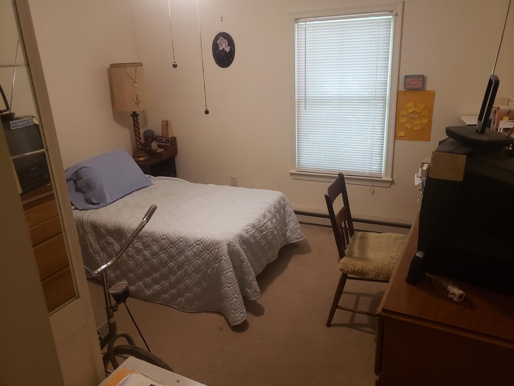 Picture 29