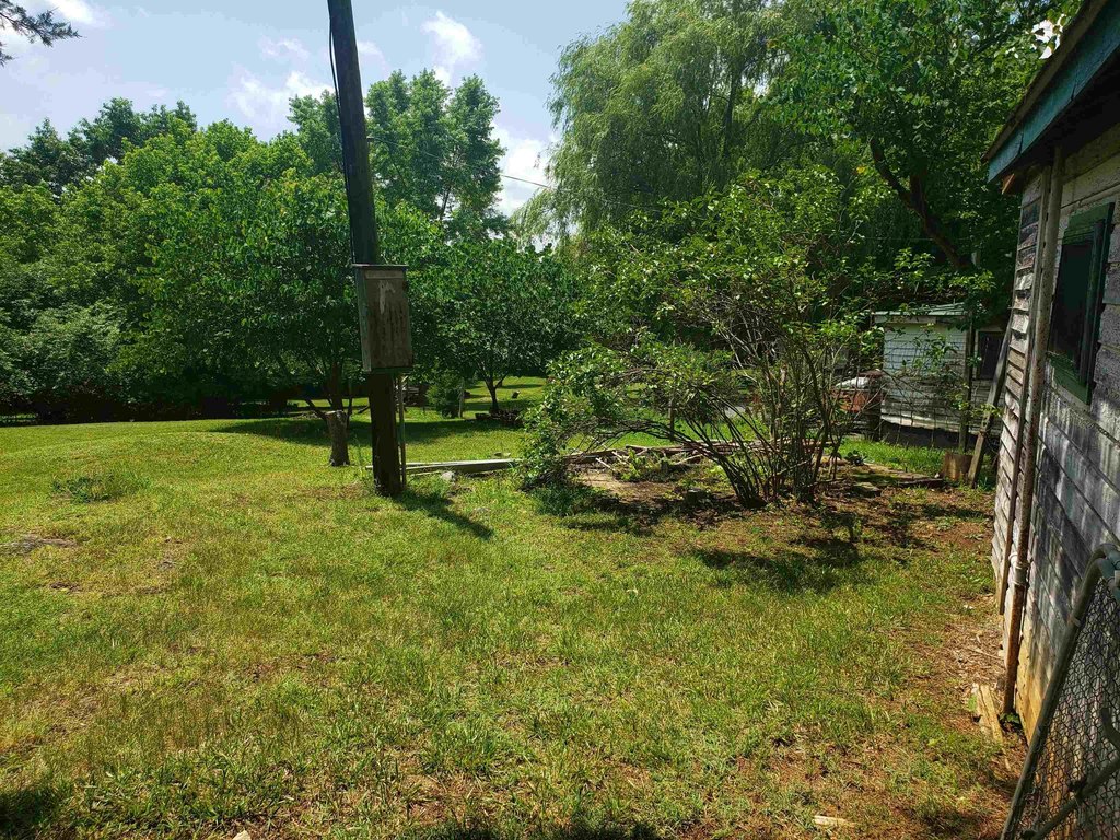 Picture 47