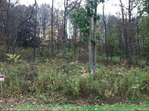 Shippenville, PA Building Lot