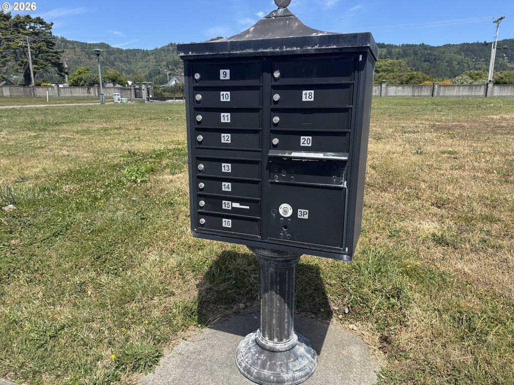 Picture 24