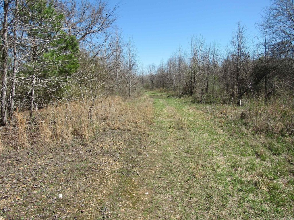 Picture 15