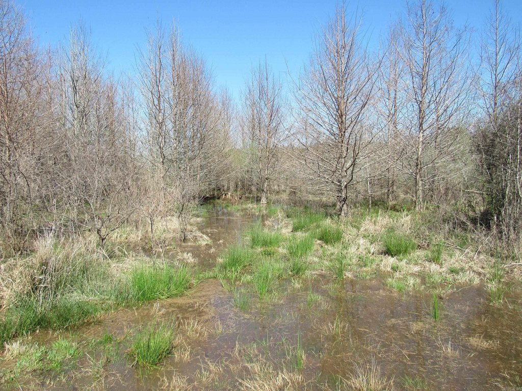 Picture 29