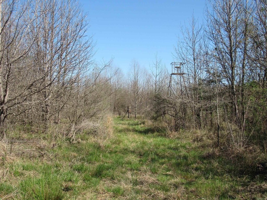 Picture 25
