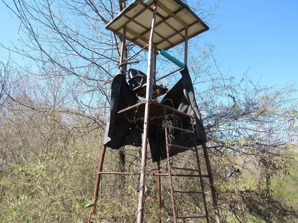 Picture 17