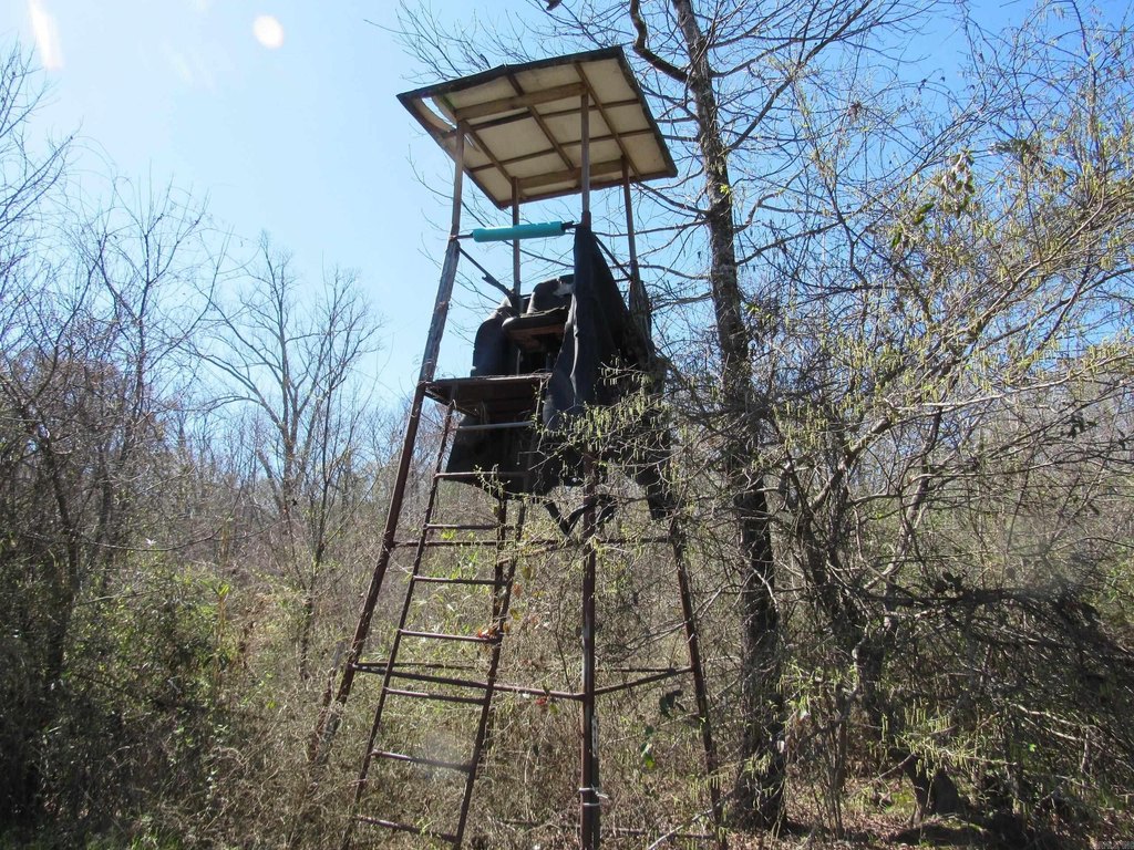 Picture 16