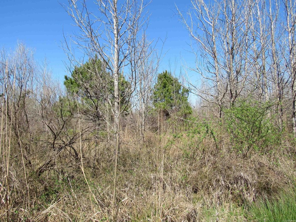 Picture 24