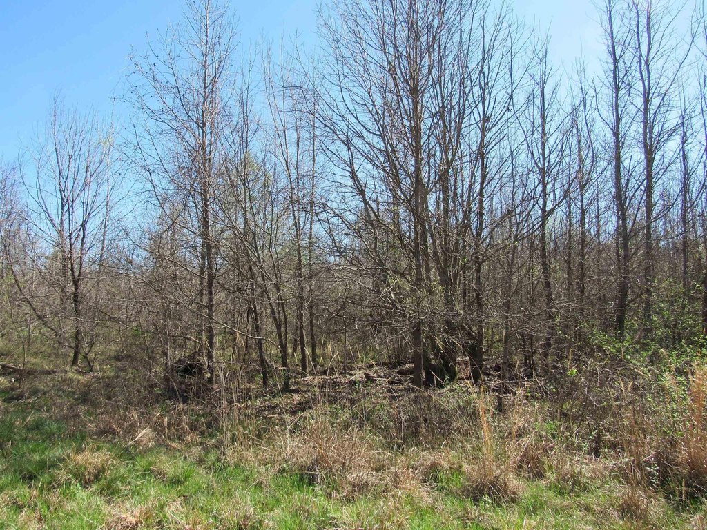 Picture 19