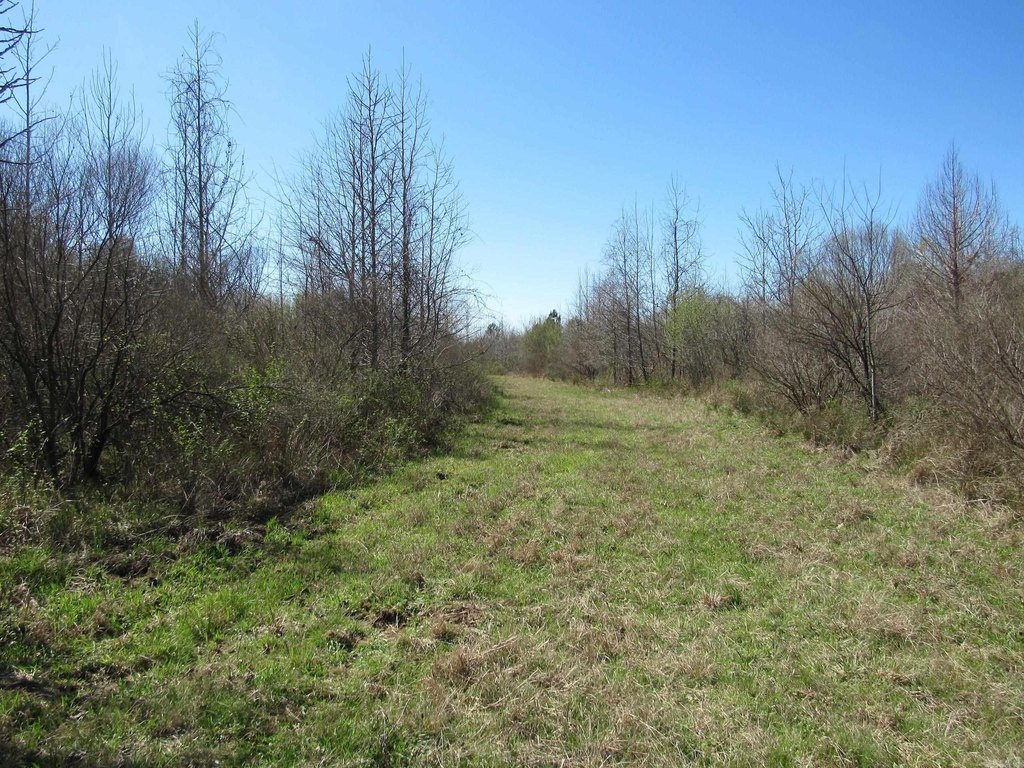 Picture 30