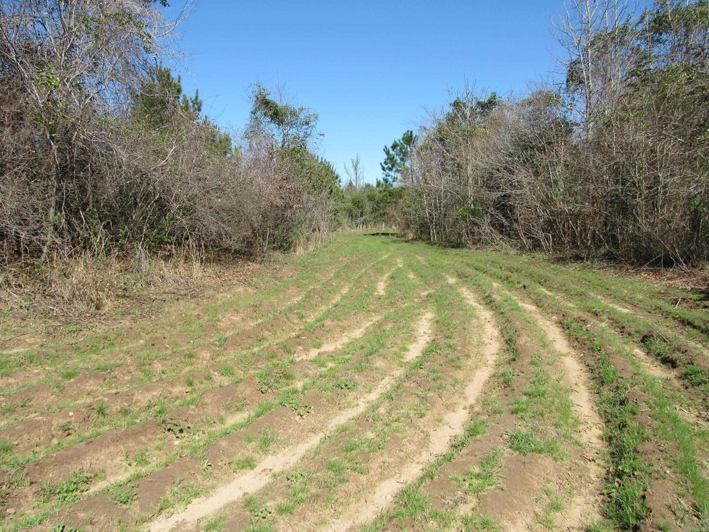 Picture 27