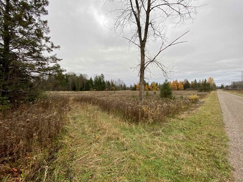80 Acres of Land, Ogema