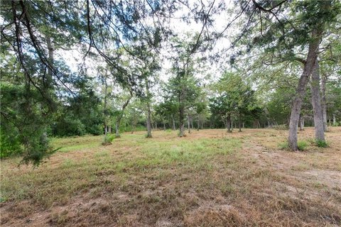LAND - Somerville, TX