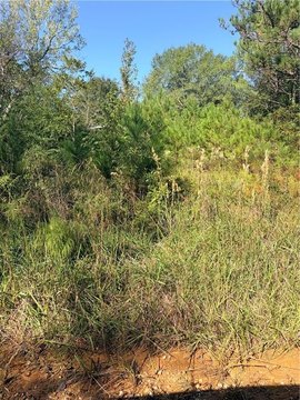 Land, Clayton, AL