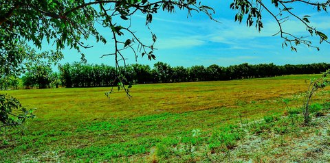 Land, Terrell, TX